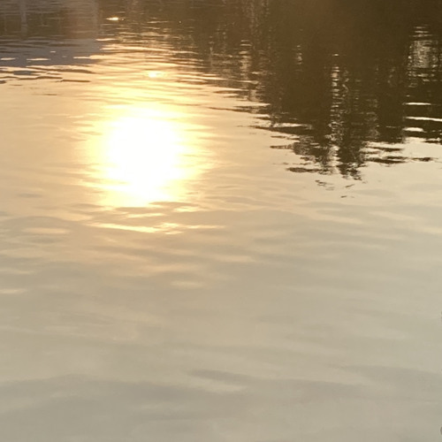 ที่มี