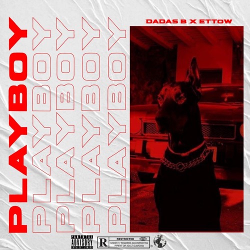 Dadas B x Ettow - Playboy