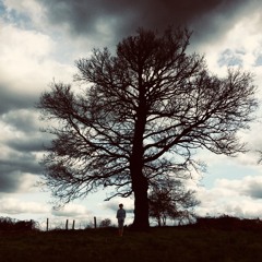 Meditation on the things you never said