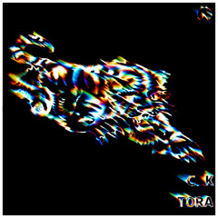 Tora
