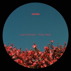 Premiere : Juan Peinado - Polar Bear (NRDY014)