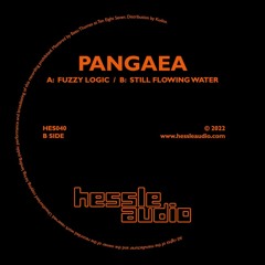 Pangaea - Fuzzy Logic / Still Flowing Water