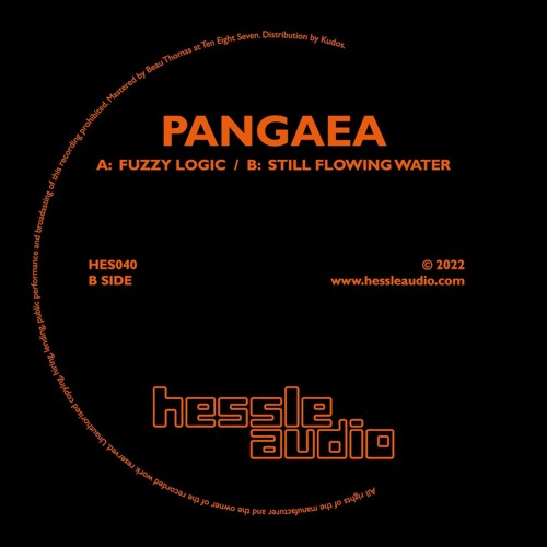 Pangaea - Fuzzy Logic / Still Flowing Water