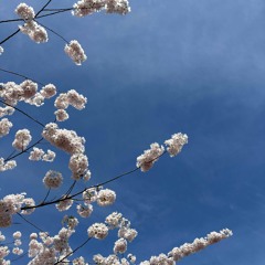 what remains of me (失去你以後)