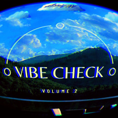 Vibe Check Vol. 2