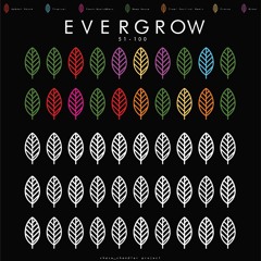 EVERGROW #70 - Pool House