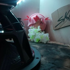 (25 - 28hz)low Bass By W KVPV - Rose   Screwed