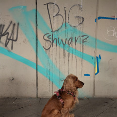 Diggie mach kein Biggie (Feat. MC V)