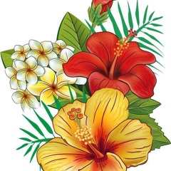 Drexi - Frozen - Clip Officiel 2018