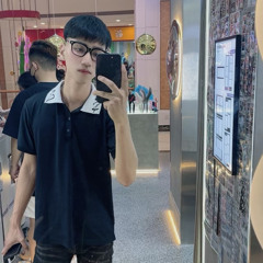 Thái bình phố voll3