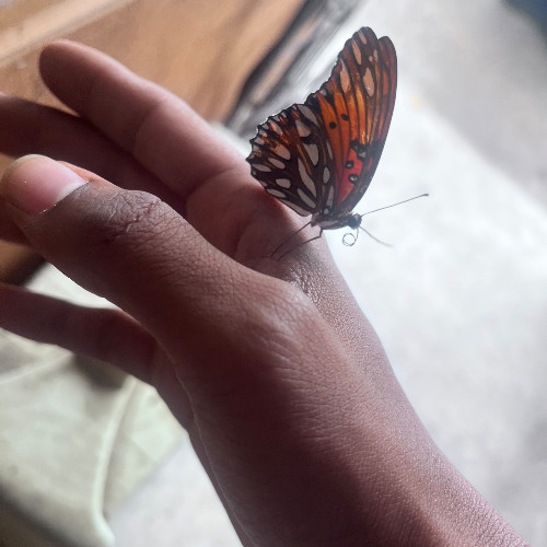 How You Feeling Lately