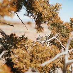 Anri - Live PA @Vibu Tallinn