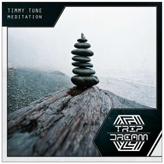 Timmy Tune - Meditation (Radio Edit)