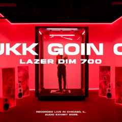 LazerDim700-Fukk Goin On