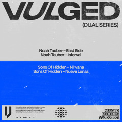 PREMIERE: Noah Tauber - Interval [VLGDDS001]