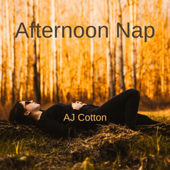 Afternoon Nap
