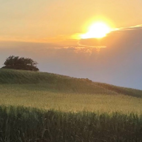 A Better Man (George Gerrard Original)