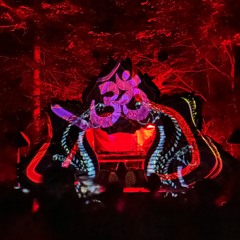 Ananta Gathering '25 - Message from the crew to Freaks | Closing set | Fungal frequency | V16