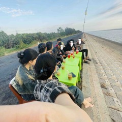 NST-Nghe Để Ngủ Chim Nguyen mix.mp3