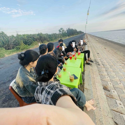 NST-Nghe Để Ngủ Chim Nguyen mix.mp3
