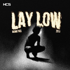 Biometrix X Zeli - Lay Low