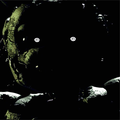 Springtrap chase (fnaf x DBD)