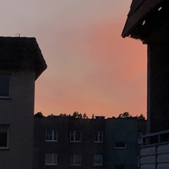 8 am.