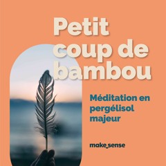 Petit coup de bambou : Méditation en pergélisol majeur