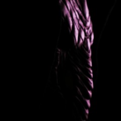 VVitch Dr. (Cinematic)