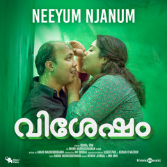 Neeyum Njanum (From "Vishesham")