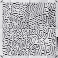 The Maze