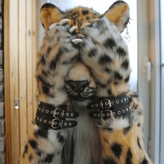 Spending Habits (prod. proxy)