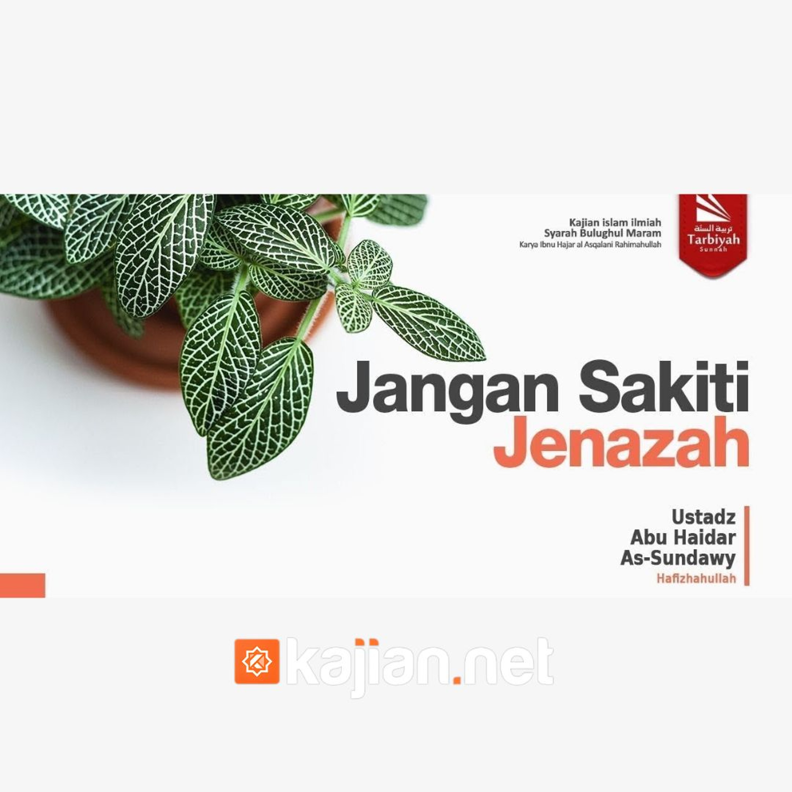 87. Kitab Jenazah_ Jangan Sakiti Jenazah (Bulughul Maram) episode artwork