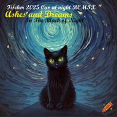 Fischer ft. Ashes and Dreams - Black of Night 2025 - Car at Night REMIX