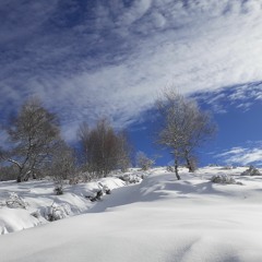 Le Paradis Blanc De La Neige