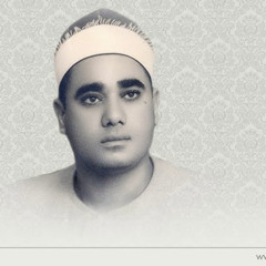 ragheb-mustafa-ghalwash (72)