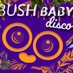 Bush Baby Disco (Kilifi, Kenya)