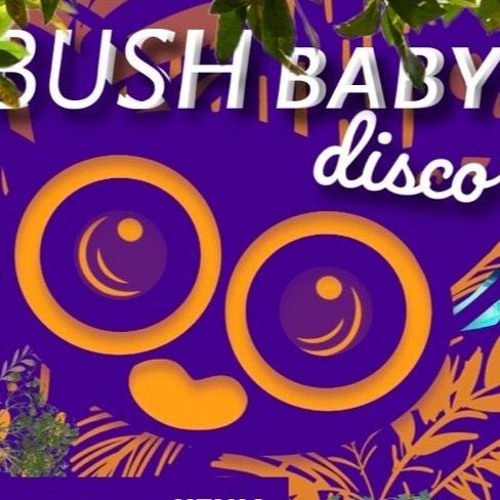 Bush Baby Disco (Kilifi, Kenya)