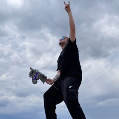 Punk Behavior v0.8.7