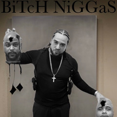 OUTLAW -  " BiTcH NiGGaS "