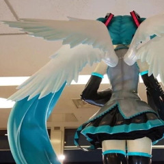 fish swimming in a circle