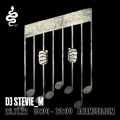 DJ Stevie_M - Aaja Channel 1 - 28 11 22
