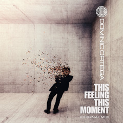 (FREE DOWNLOAD) Dominic Ortega - This Feeling This Moment (Original Mix)