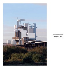 Stéphane Bissières - Timepoint - LP (FT007)