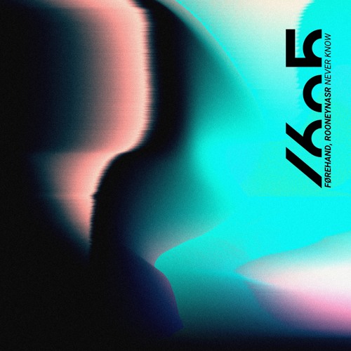 Normal Techno/Tech house