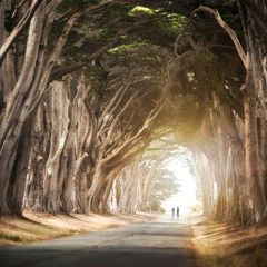 Lost in the Light