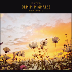 Denim Highrise