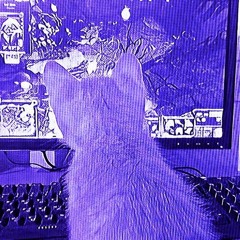 avoidance mirror