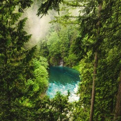 You and I (Forest Ambience)
