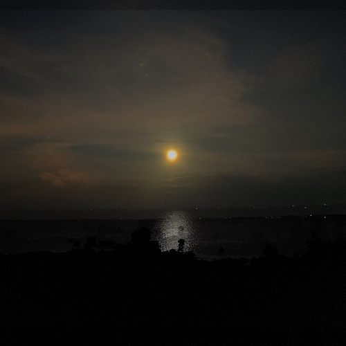 Raga-Rasa 3| ThatGuy_bhavan | Dancing Under The Eclipse.